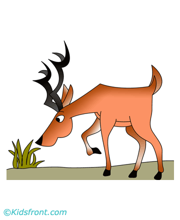 Cautious Antelope Coloring Pages